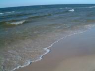 Resize of DSCF2555.JPG